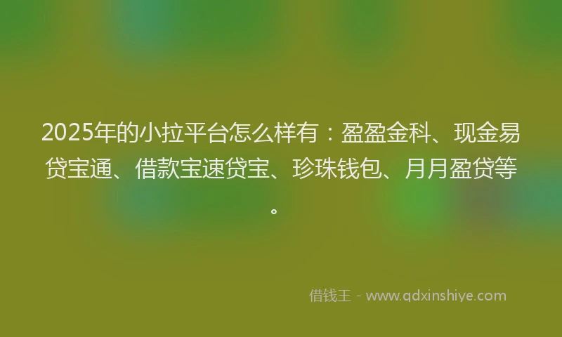 2025年的小拉平台怎么样有：盈盈金科、现金易贷宝通、借款宝速贷宝、珍珠钱包、月月盈贷等。