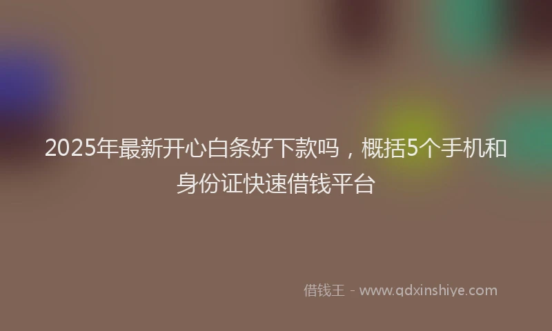 2025年最新开心白条好下款吗，概括5个手机和身份证快速借钱平台
