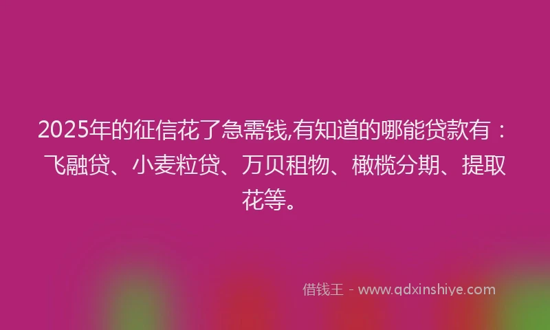 2025年的征信花了急需钱,有知道的哪能贷款有：飞融贷、小麦粒贷、万贝租物、橄榄分期、提取花等。