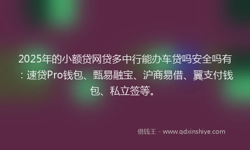 2025年的小额贷网贷多中行能办车贷吗安全吗有：速贷Pro钱包、甄易融宝、沪商易借、翼支付钱包、私立签等。