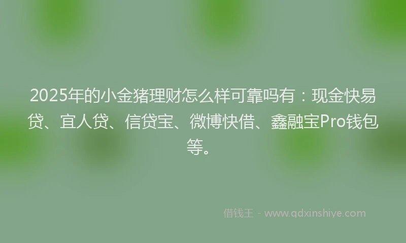 2025年的小金猪理财怎么样可靠吗有：现金快易贷、宜人贷、信贷宝、微博快借、鑫融宝Pro钱包等。