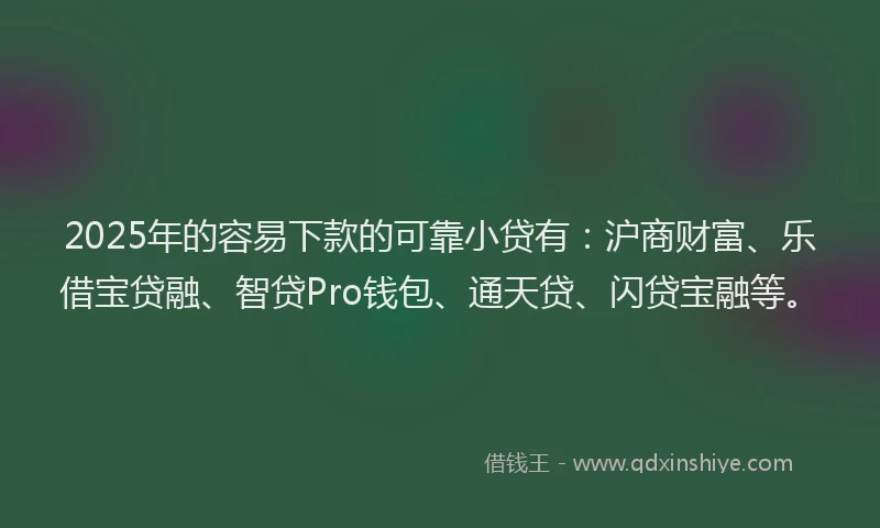 2025年的容易下款的可靠小贷有：沪商财富、乐借宝贷融、智贷Pro钱包、通天贷、闪贷宝融等。