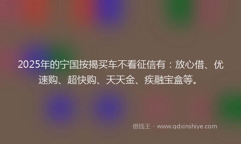 2025年的宁国按揭买车不看征信有：放心借、优速购、超快购、天天金、疾融宝盒等。