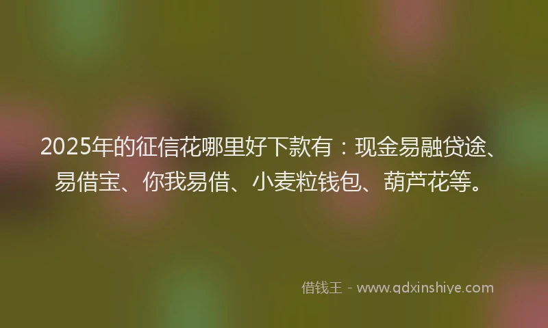 2025年的征信花哪里好下款有：现金易融贷途、易借宝、你我易借、小麦粒钱包、葫芦花等。