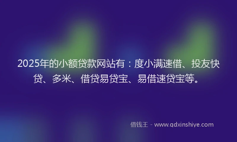 2025年的小额贷款网站有：度小满速借、投友快贷、多米、借贷易贷宝、易借速贷宝等。