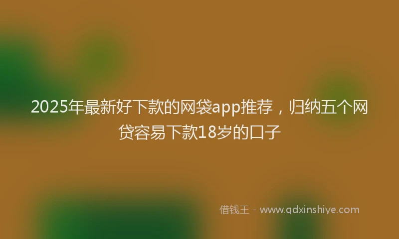2025年最新好下款的网袋app推荐，归纳五个网贷容易下款18岁的口子