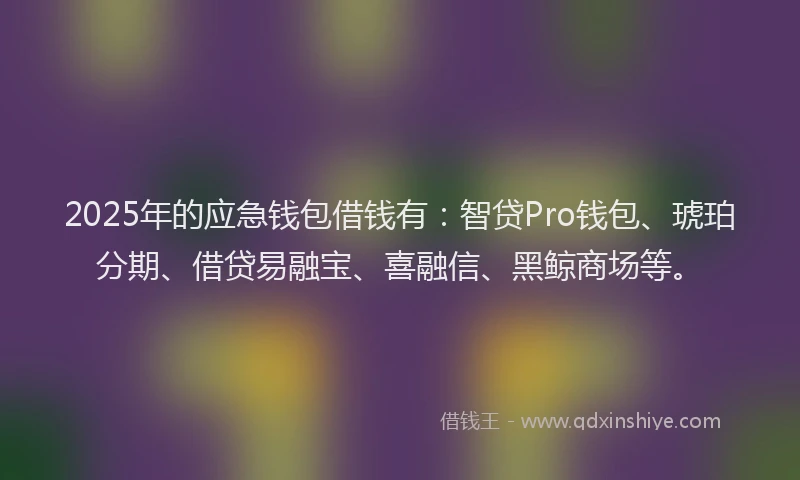 2025年的应急钱包借钱有：智贷Pro钱包、琥珀分期、借贷易融宝、喜融信、黑鲸商场等。