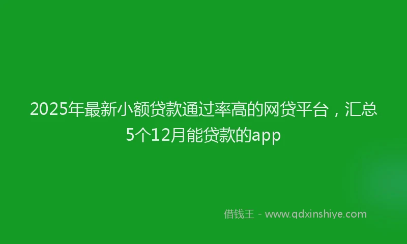 2025年最新小额贷款通过率高的网贷平台，汇总5个12月能贷款的app