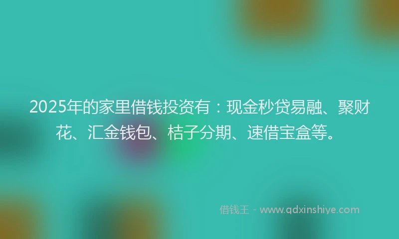 2025年的家里借钱投资有：现金秒贷易融、聚财花、汇金钱包、桔子分期、速借宝盒等。