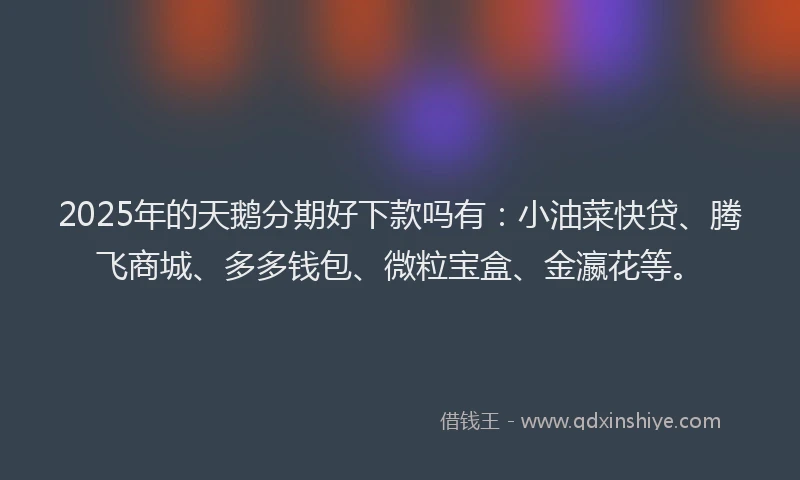 2025年的天鹅分期好下款吗有：小油菜快贷、腾飞商城、多多钱包、微粒宝盒、金瀛花等。