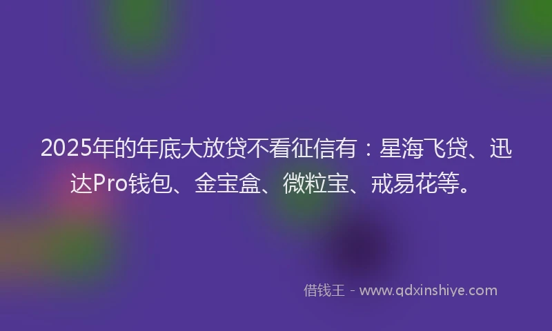 2025年的年底大放贷不看征信有：星海飞贷、迅达Pro钱包、金宝盒、微粒宝、戒易花等。