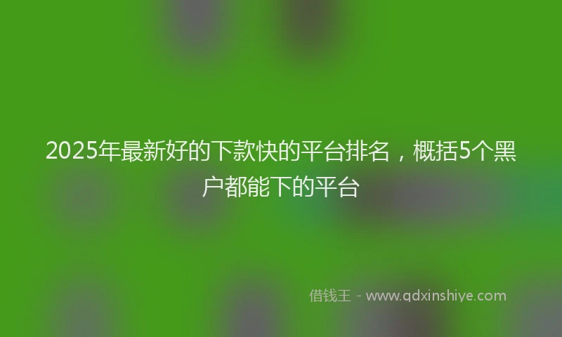 2025年最新好的下款快的平台排名，概括5个黑户都能下的平台