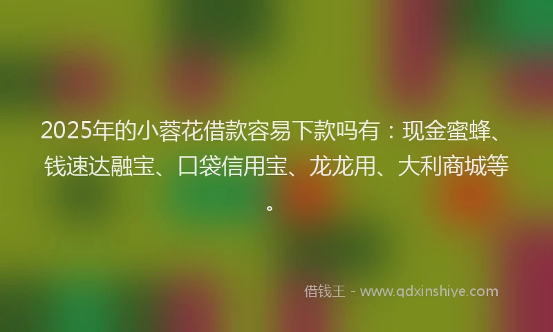 2025年的小蓉花借款容易下款吗有：现金蜜蜂、钱速达融宝、口袋信用宝、龙龙用、大利商城等。