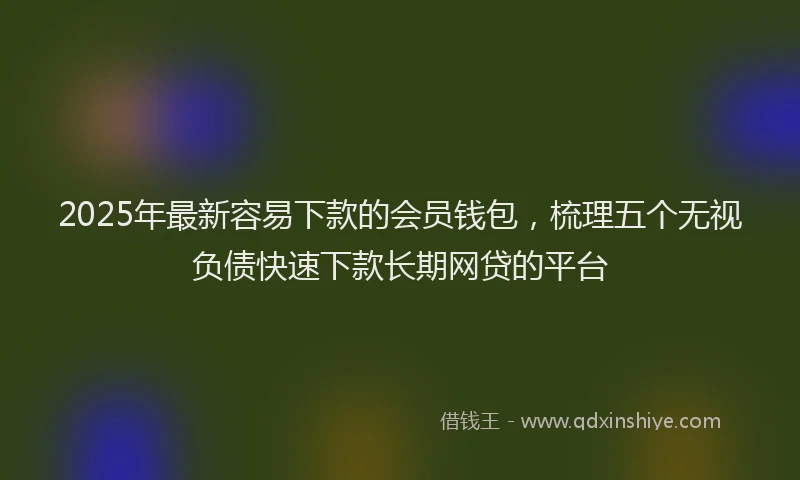 2025年最新容易下款的会员钱包，梳理五个无视负债快速下款长期网贷的平台