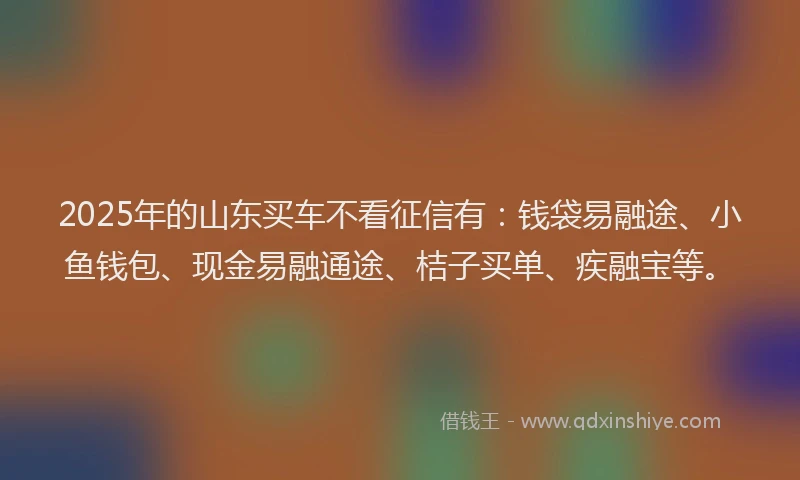 2025年的山东买车不看征信有：钱袋易融途、小鱼钱包、现金易融通途、桔子买单、疾融宝等。
