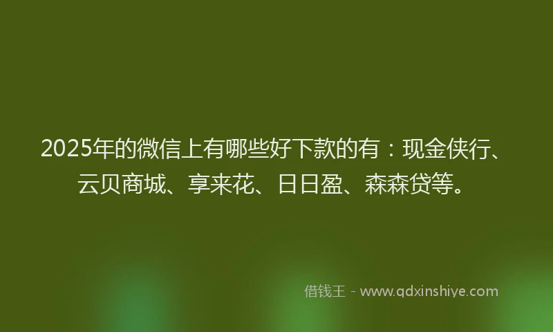 2025年的微信上有哪些好下款的有：现金侠行、云贝商城、享来花、日日盈、森森贷等。