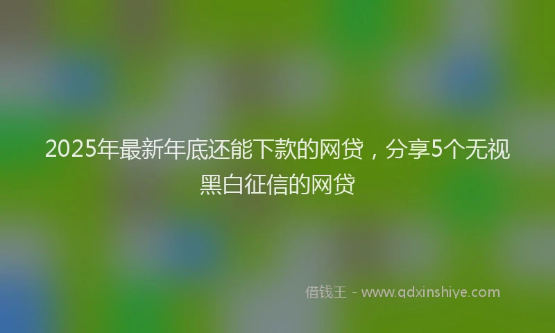 2025年最新年底还能下款的网贷，分享5个无视黑白征信的网贷