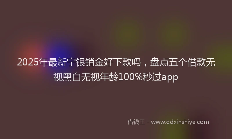2025年最新宁银销金好下款吗，盘点五个借款无视黑白无视年龄100%秒过app