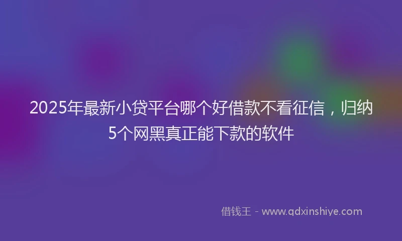 2025年最新小贷平台哪个好借款不看征信，归纳5个网黑真正能下款的软件