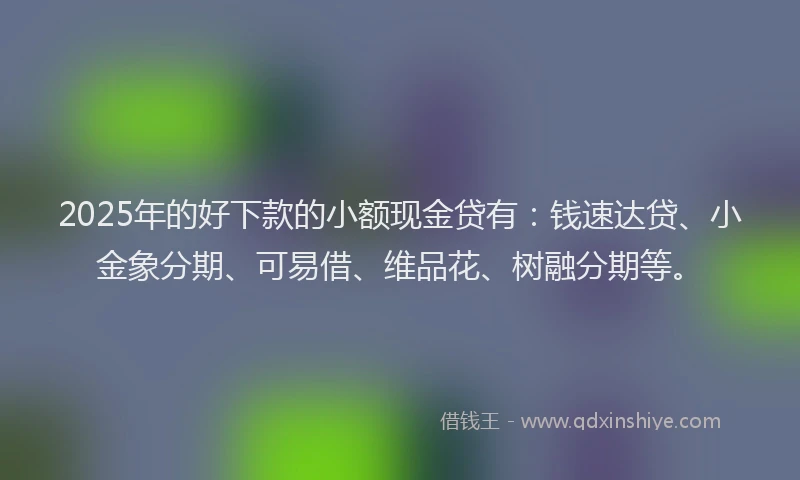 2025年的好下款的小额现金贷有：钱速达贷、小金象分期、可易借、维品花、树融分期等。
