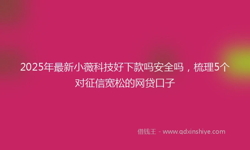 2025年最新小薇科技好下款吗安全吗，梳理5个对征信宽松的网贷口子
