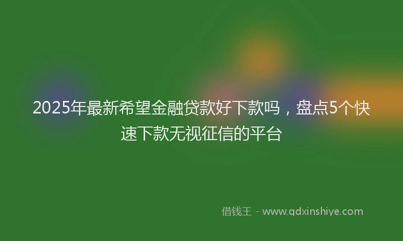 2025年最新希望金融贷款好下款吗，盘点5个快速下款无视征信的平台