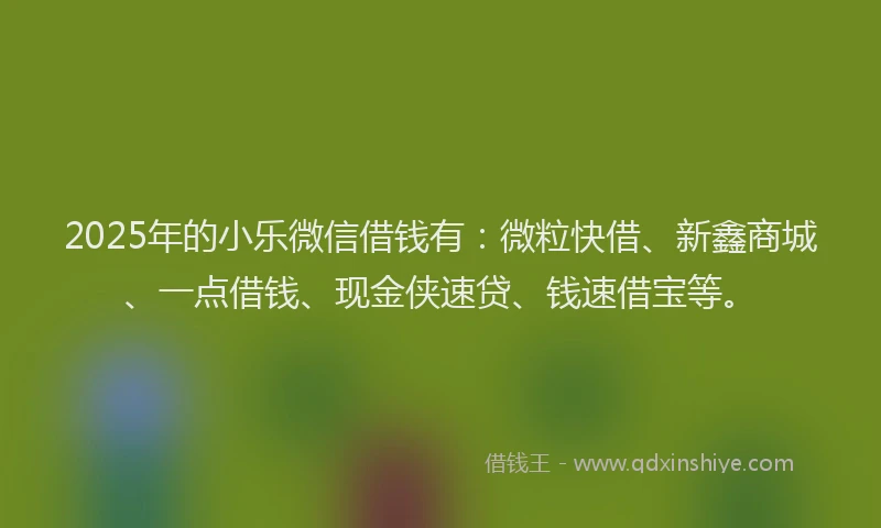 2025年的小乐微信借钱有：微粒快借、新鑫商城、一点借钱、现金侠速贷、钱速借宝等。