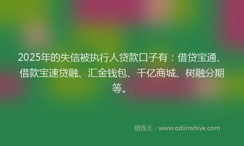 2025年的失信被执行人贷款口子有：借贷宝通、借款宝速贷融、汇金钱包、千亿商城、树融分期等。