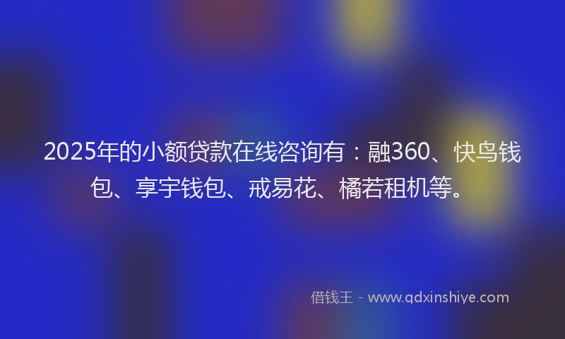 2025年的小额贷款在线咨询有：融360、快鸟钱包、享宇钱包、戒易花、橘若租机等。
