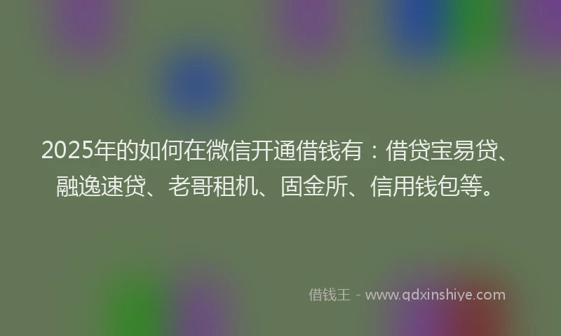 2025年的如何在微信开通借钱有：借贷宝易贷、融逸速贷、老哥租机、固金所、信用钱包等。