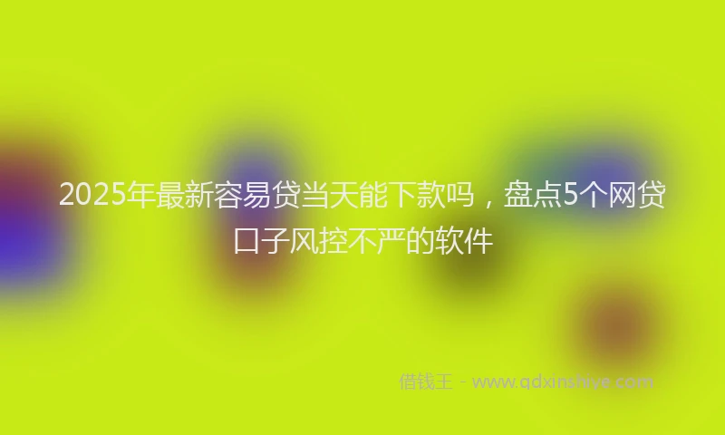 2025年最新容易贷当天能下款吗，盘点5个网贷口子风控不严的软件