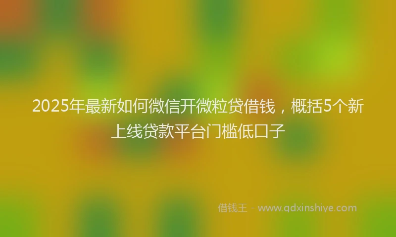 2025年最新如何微信开微粒贷借钱，概括5个新上线贷款平台门槛低口子