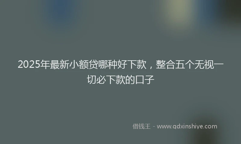 2025年最新小额贷哪种好下款，整合五个无视一切必下款的口子
