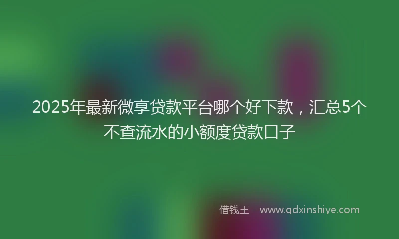 2025年最新微享贷款平台哪个好下款，汇总5个不查流水的小额度贷款口子