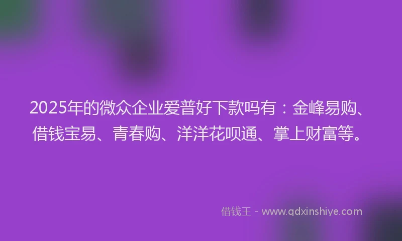2025年的微众企业爱普好下款吗有：金峰易购、借钱宝易、青春购、洋洋花呗通、掌上财富等。