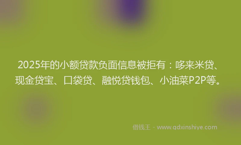 2025年的小额贷款负面信息被拒有：哆来米贷、现金贷宝、口袋贷、融悦贷钱包、小油菜P2P等。