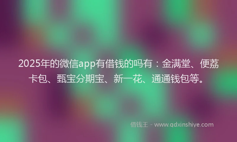 2025年的微信app有借钱的吗有：金满堂、便荔卡包、甄宝分期宝、新一花、通通钱包等。