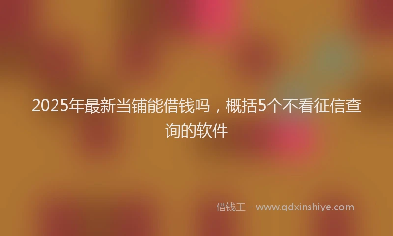 2025年最新当铺能借钱吗，概括5个不看征信查询的软件