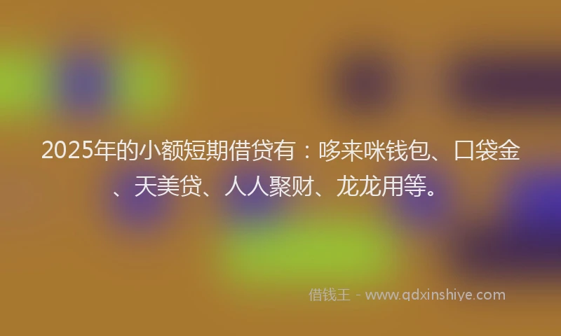 2025年的小额短期借贷有：哆来咪钱包、口袋金、天美贷、人人聚财、龙龙用等。