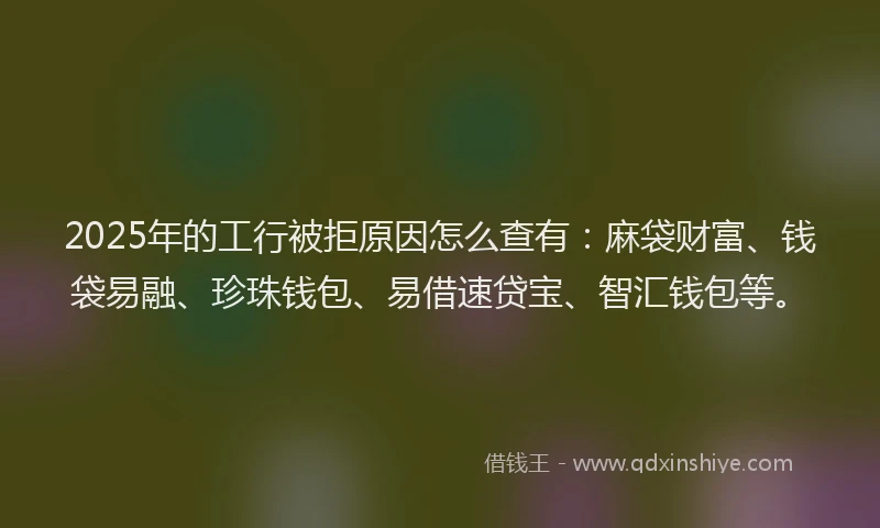 2025年的工行被拒原因怎么查有：麻袋财富、钱袋易融、珍珠钱包、易借速贷宝、智汇钱包等。