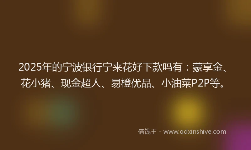2025年的宁波银行宁来花好下款吗有：蒙享金、花小猪、现金超人、易橙优品、小油菜P2P等。