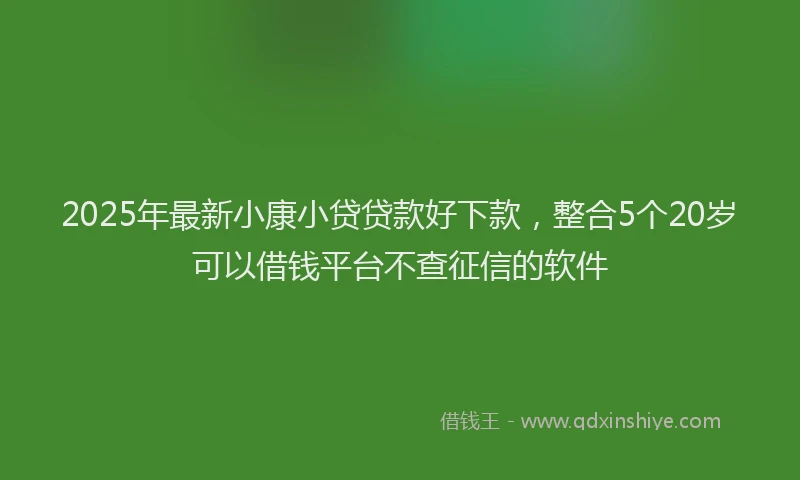 2025年最新小康小贷贷款好下款，整合5个20岁可以借钱平台不查征信的软件