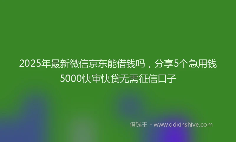 2025年最新微信京东能借钱吗，分享5个急用钱5000快审快贷无需征信口子