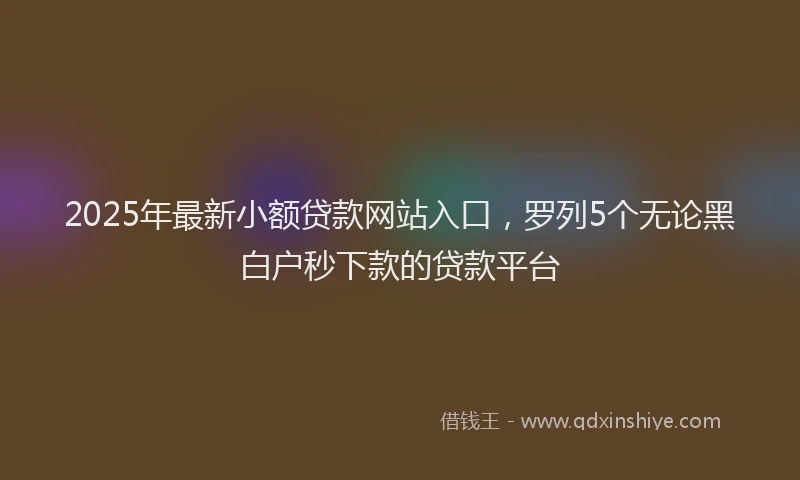 2025年最新小额贷款网站入口，罗列5个无论黑白户秒下款的贷款平台