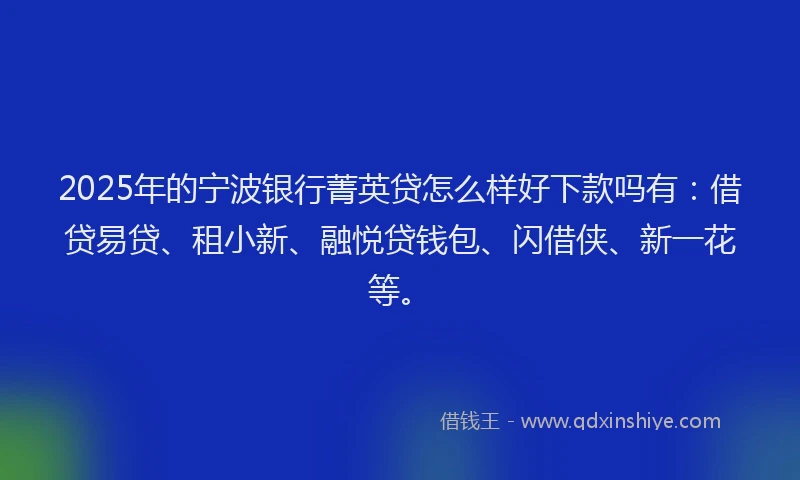 2025年的宁波银行菁英贷怎么样好下款吗有：借贷易贷、租小新、融悦贷钱包、闪借侠、新一花等。