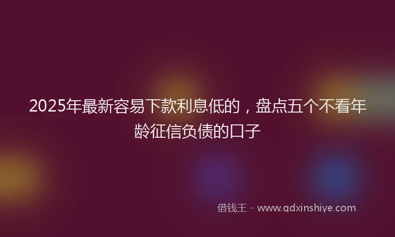 2025年最新容易下款利息低的，盘点五个不看年龄征信负债的口子