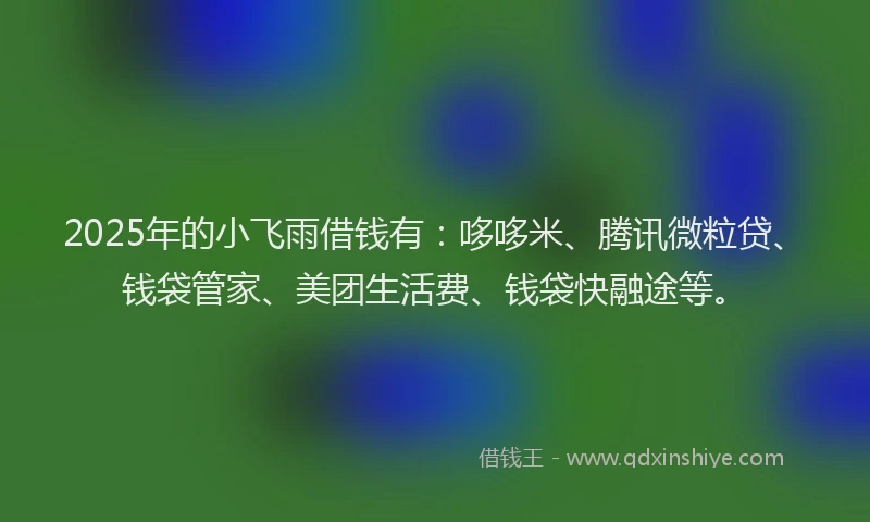 2025年的小飞雨借钱有：哆哆米、腾讯微粒贷、钱袋管家、美团生活费、钱袋快融途等。