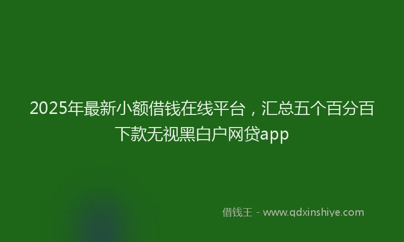 2025年最新小额借钱在线平台，汇总五个百分百下款无视黑白户网贷app