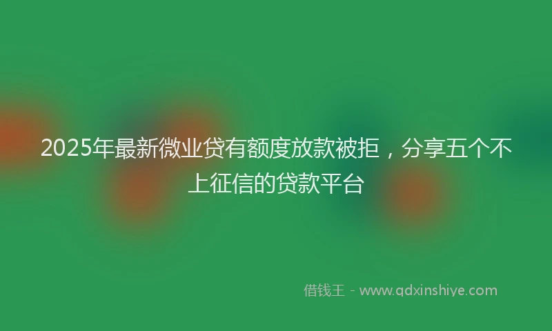 2025年最新微业贷有额度放款被拒，分享五个不上征信的贷款平台