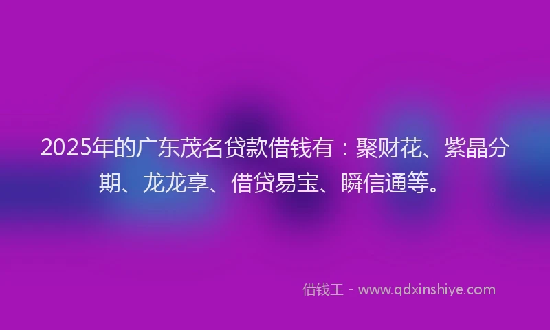 2025年的广东茂名贷款借钱有：聚财花、紫晶分期、龙龙享、借贷易宝、瞬信通等。